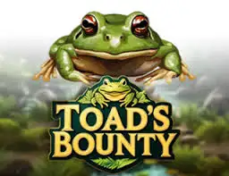 sbotop appvn